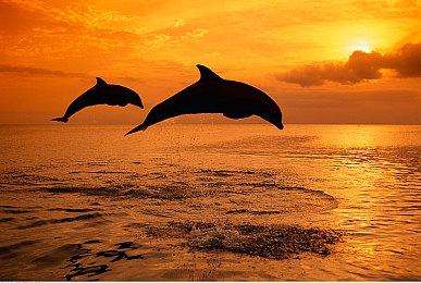 MMO《上古世纪2》预计2024年下半年完成开发 注重单人叙事