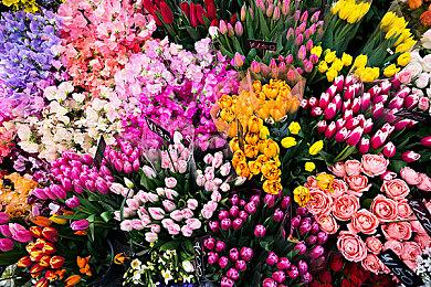 虚幻5免费射击《分裂之门2》有望在7月18日公布